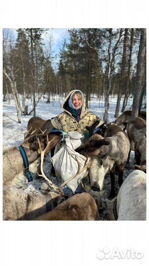 Экскурсия в Саамскую деревню