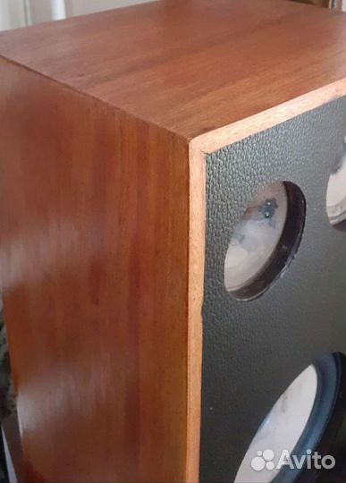 Эстония вега комета