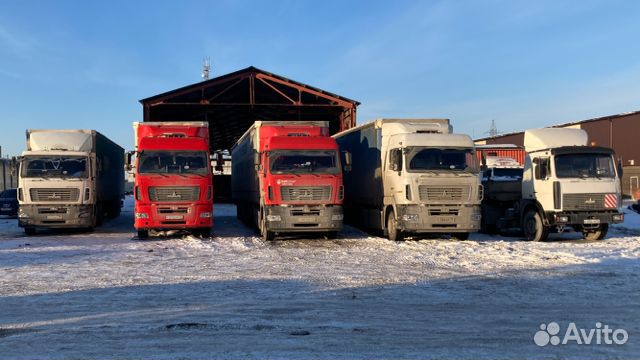 Водитель автомобиля