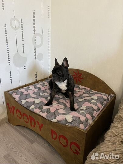 Лежанка, кровать, диван для собак и кошек