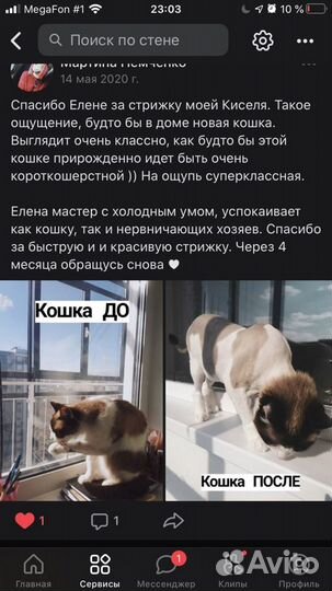 Стрижка Кошек с выездом на дом
