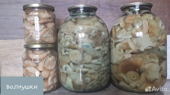 Грибы маринованные. Соленья