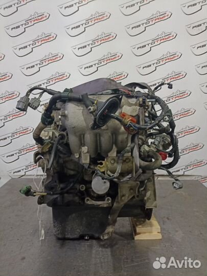 Двигатель honda isuzu D16A civic civic ferio domani gemini HR-V partner EJ7 EK5 EK8 EY8 EY9 GH1 GH2