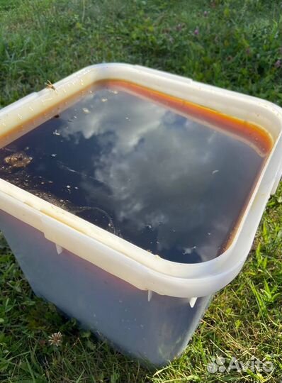 Алтайский мед оптом 2023