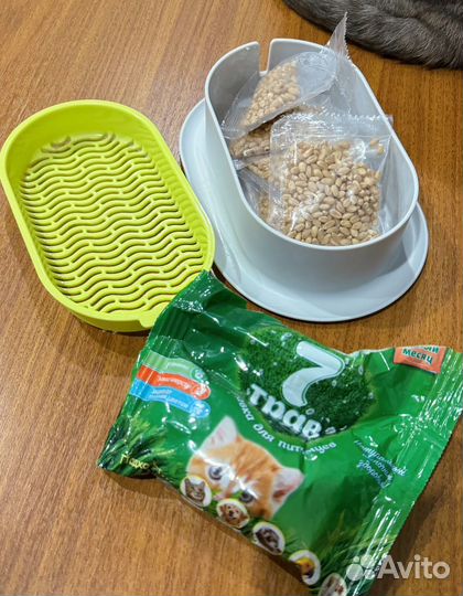 Набор для выращивания травы для питомцев