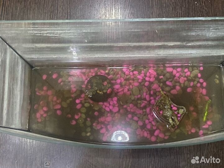 Аквариум 35л