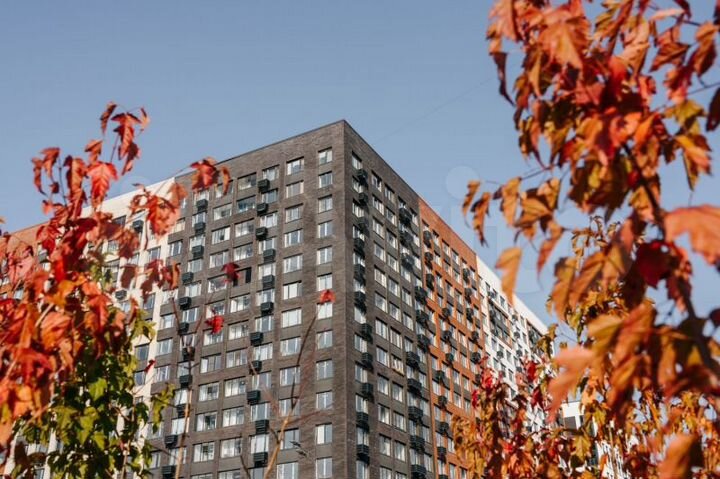 Квартира-студия, 24,1 м², 5/16 эт.