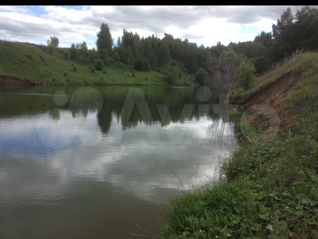 Участок 1,3 га (СНТ, ДНП)