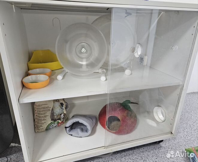 Тумба-витрина для животных (африканского ежа.)