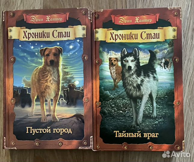 Хроники стаи пустой город