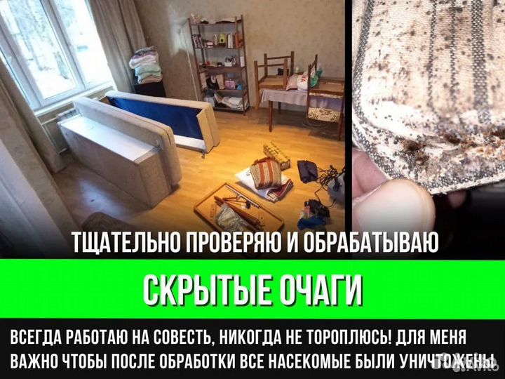 Дезинфекция тараканов. Уничтожение клопов. Травить