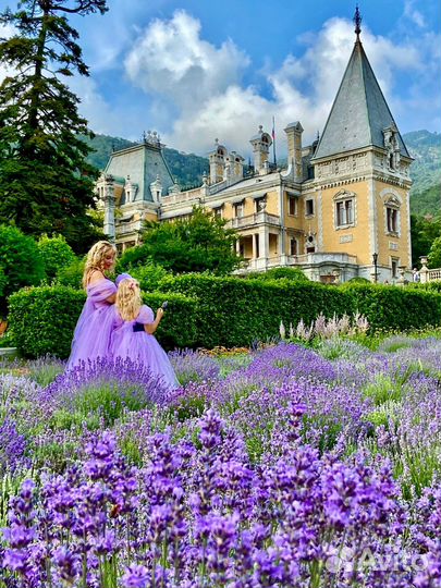 Экскурисия Горы Лаванды