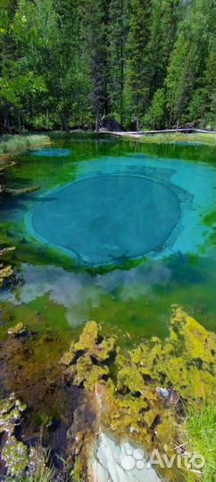 Настоящий Горный Алтай