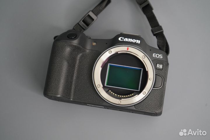 Canon EOS R8