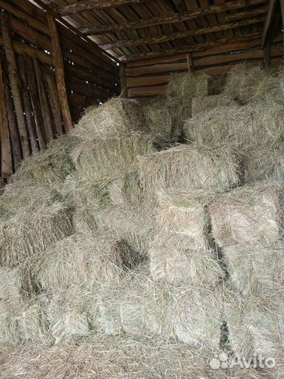 Сено в тюках