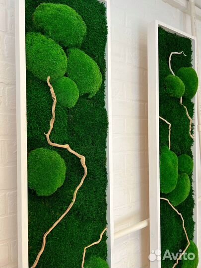 Панно со стабилизированным мхом