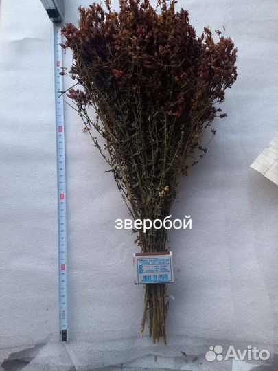 Зверобой в пучках(сухой), есть еще травы в наличии