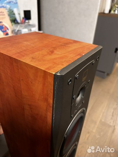 Напольные колонки dali concept 6