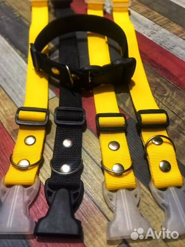 Ошейники и поводки для собак