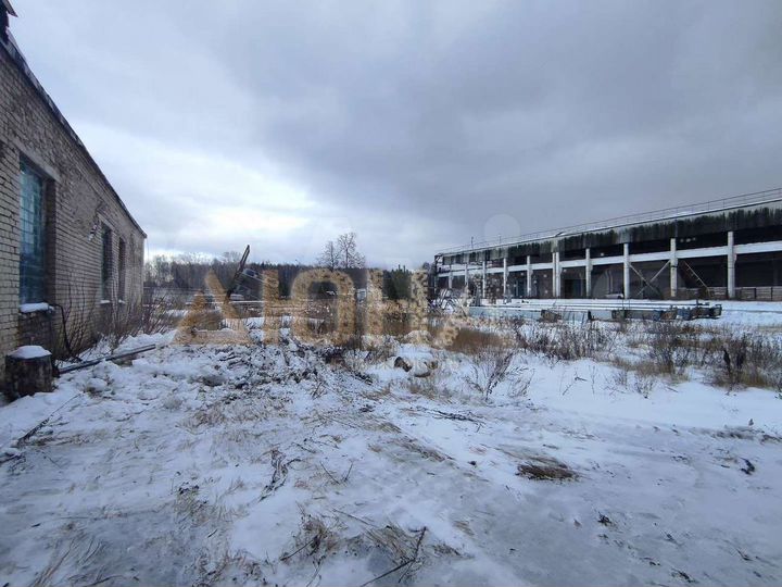 Участок 2 га (ИЖС)