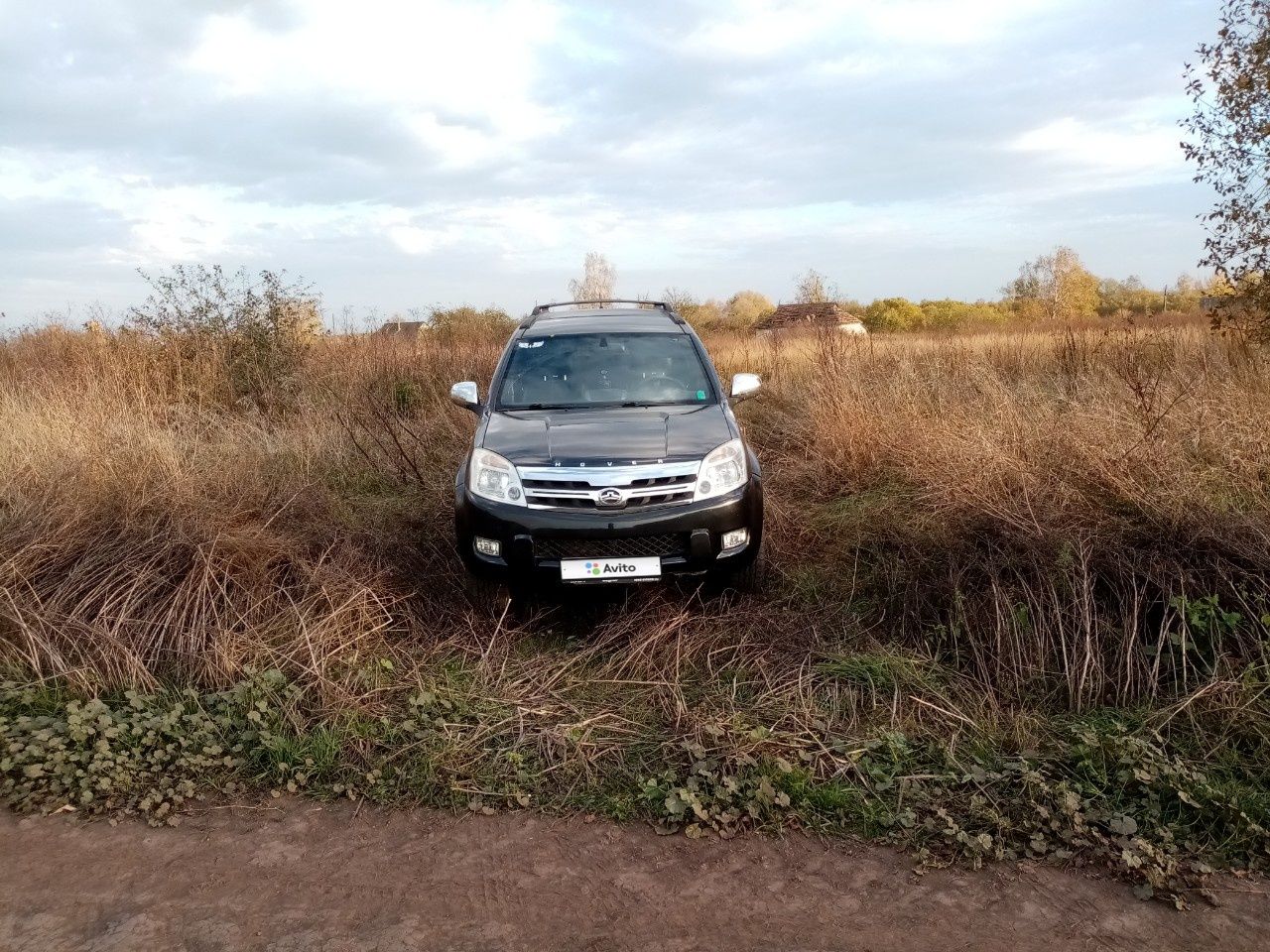 Great Wall Hover: фото владельца