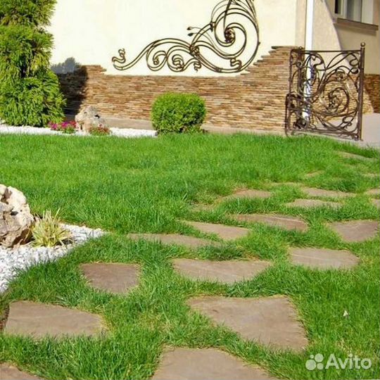 Рулонный газон