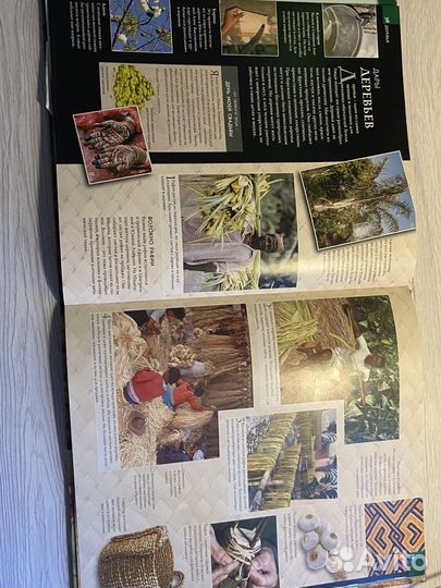 Энциклопедия Растения Берни Дэвид