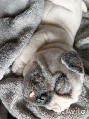 Мопс игрушка