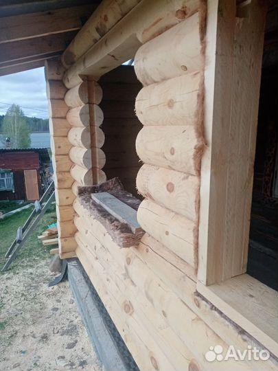 Срубы из оцилиндрованные бревна