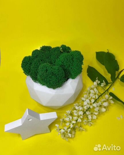 Декоративное кашпо из гипса