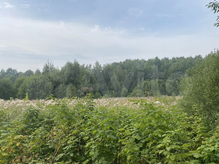 Участок 1,3 га (СНТ, ДНП)