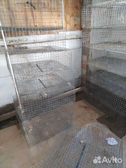 Контейнеры для транспортирования птицы