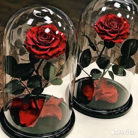 Розы оптом в колбе