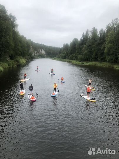 Прогулки на сап бордах. Корпоративы, сплавы