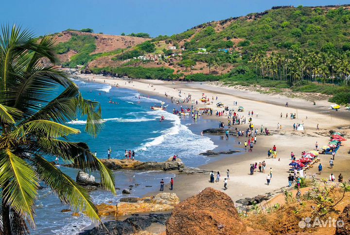 Горящие туры в Индию Гоа