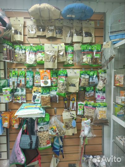 Зоомагазин Белочка Стрелочка