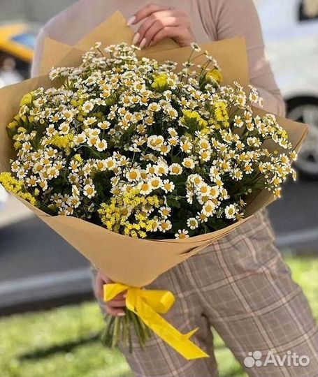 Ромашки букет