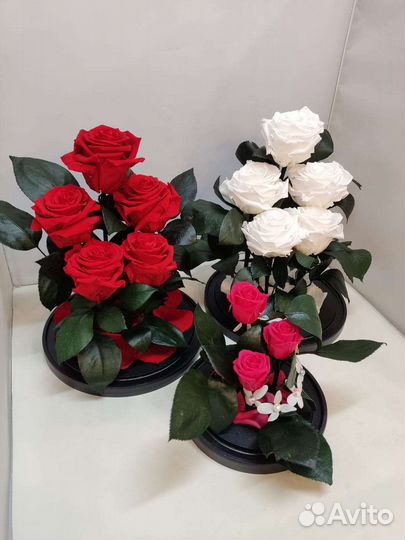 Подарок на новый год / Роза в колбе