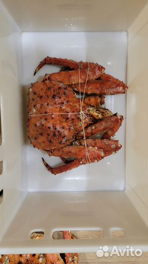 Краб Камчатский Подарочный