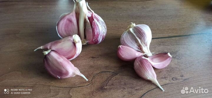 Продам огурцы