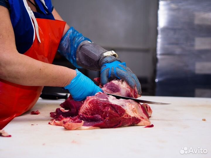 Ищу займ в производство говядины