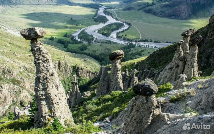 Поездка в горный Алтай на 7 нч. завтраки