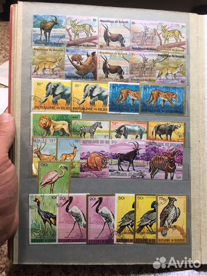Кролекция Фауны Бурунди Африка