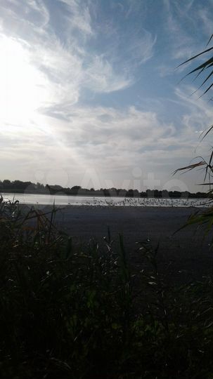 Участок 50 сот. (ИЖС)