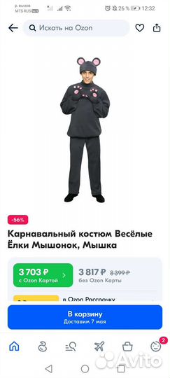 Костюм мыши флис