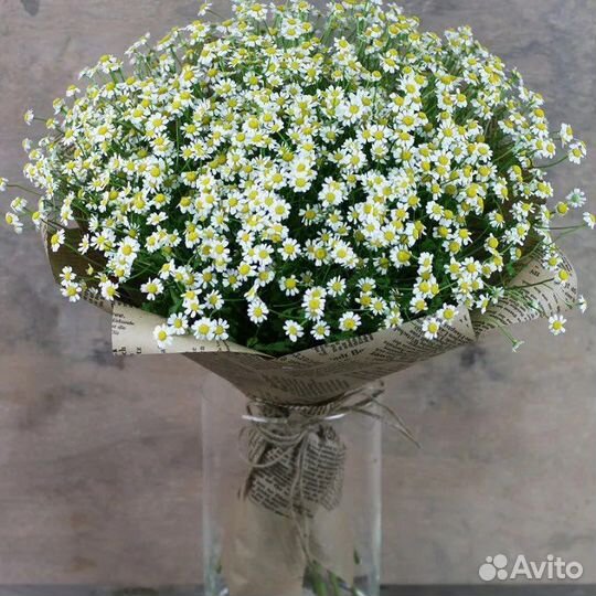 Ромашки букеты из ромашек