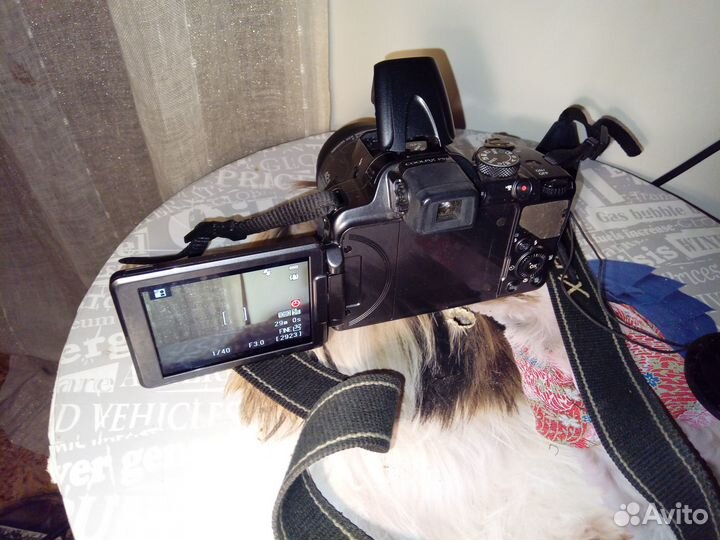 Nikon Coolpix p520