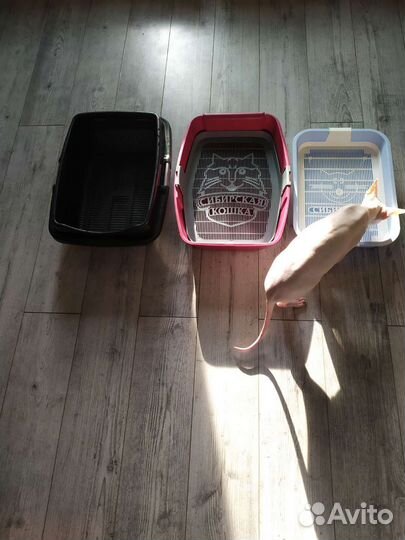 Туалет для кошек