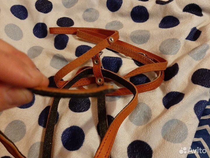 Шлейка с поводком