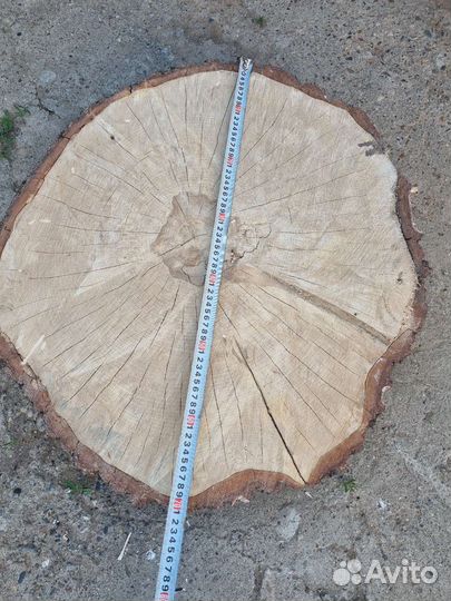 Спил сухой берёзовый. 70см